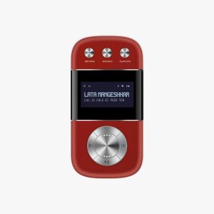 SAREGAMA Carvaan Go 2.0